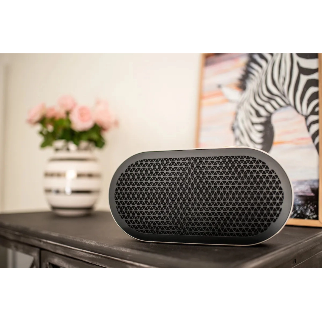 Портативна Bluetooth колонка DALI Katch G2 Iron Black