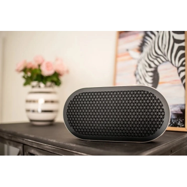 Портативна Bluetooth колонка DALI Katch G2 Iron Black