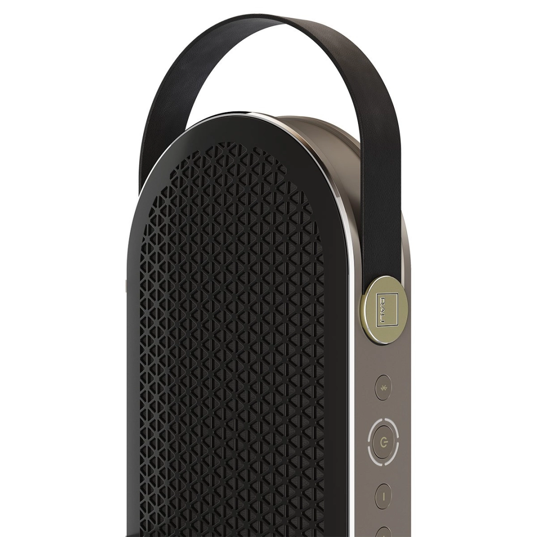 Портативна Bluetooth колонка DALI Katch G2 Iron Black