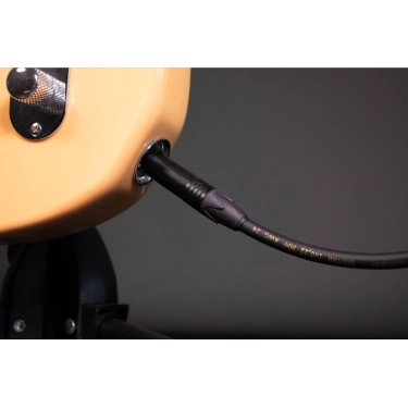 CSI 3 PP-GOLD