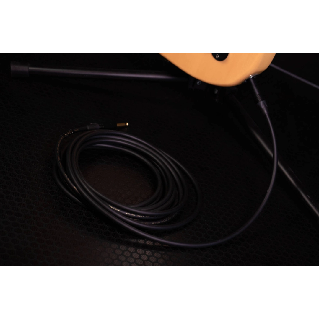 CSI 6 PP-GOLD CSI 6 PP-GOLD