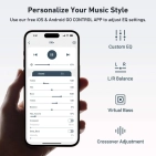 Підсилювач Arylic S10+ Wireless Mini Stereo Preamplifier
