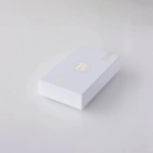 Навушники Final Audio B2 Gunmetal