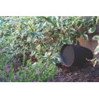 Акустика Sonance Patio Series 4.1 W/SR 2-100 Акустика Sonance Patio Series 4.1 W/SR 2-100