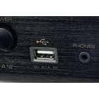 Інтегральний підсилювач Rotel A12 MKII Black купити в Україні недорого.