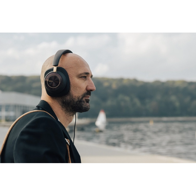 Бездротові навушники DALI IO-12 Dark Chocolate купити в Україні, ціна