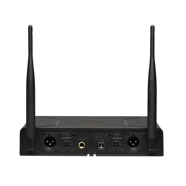 Радіосистема DV audio BGX-224 MKII з петличними мікрофонами