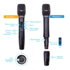 Караоке-система для дому EVOBOX Plus [Ruby] з цифровими мікрофонами та EvoCase у комплекті