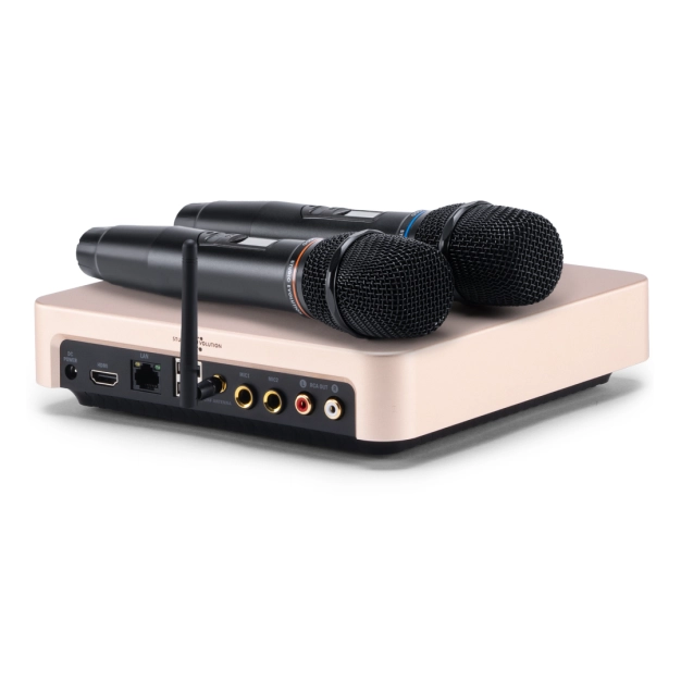 Караоке-система для дому EVOBOX Plus [Gold] з цифровими мікрофонами та EvoCase у комплекті