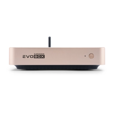 Караоке-система для дому EVOBOX Plus [Gold] з цифровими мікрофонами та EvoCase у комплекті
