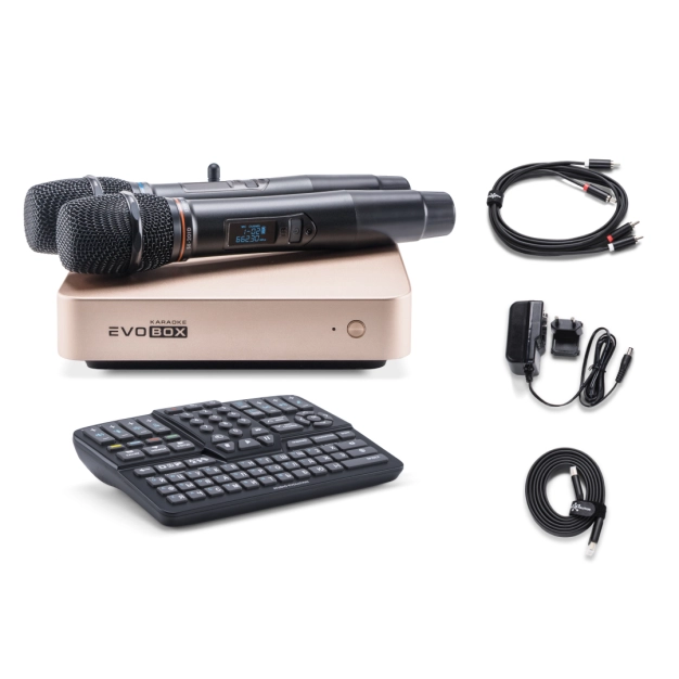 Караоке-система для дому EVOBOX Plus [Gold] з цифровими мікрофонами та EvoCase у комплекті