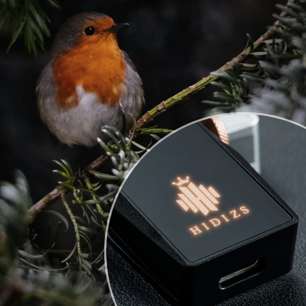 ЦАП та підсилювач Hidizs S8 Pro Black купити в Україні, ціна