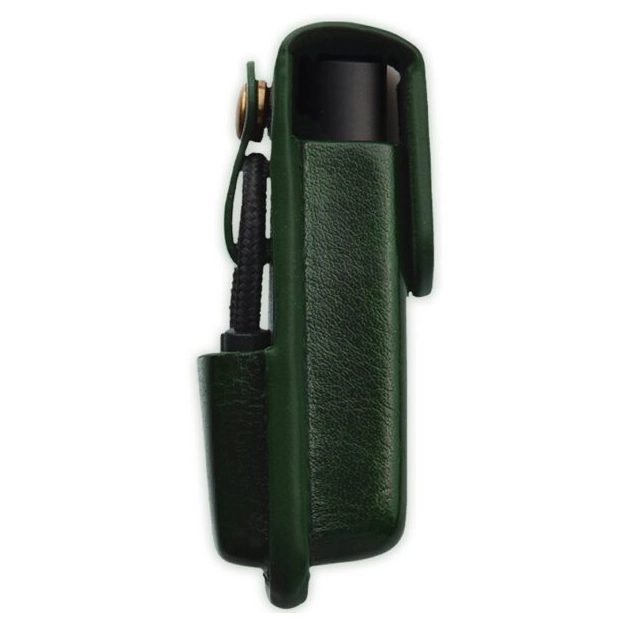 Чохол Lotoo PAW S1/S2 Case Green купити в Україні, ціна