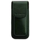 Чохол Lotoo PAW S1/S2 Case Green купити в Україні, ціна