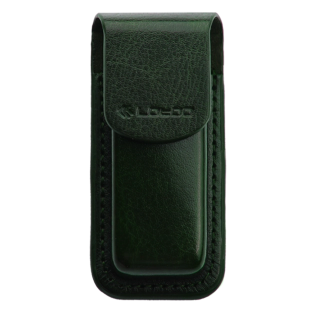 Чохол Lotoo PAW S1/S2 Case Green купити в Україні, ціна