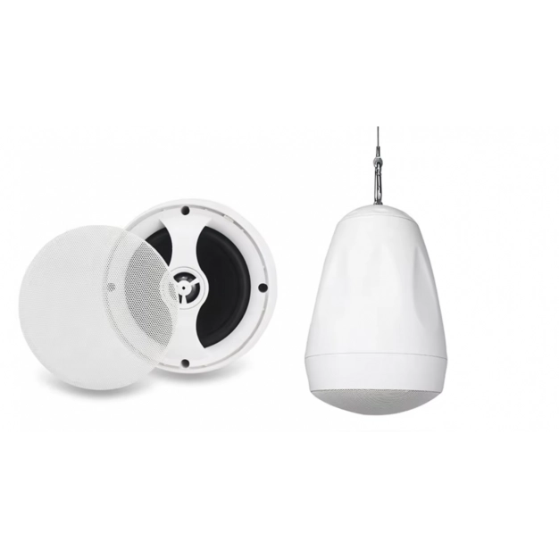 DV audio PS-422TW біла підвісна акустика 100В DV audio PS-422TW біла підвісна акустика 100В