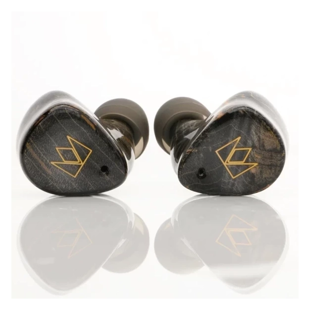 Внутрішньоканальні бездротові навушники Noble FoKus Prestige Black з шумопоглинанням