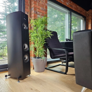 Акустична система Acoustic Energy AE Corinium, black