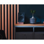 Onkyo GX-30ARC Black з Bluetooth та HDMI ARC - настільна акустика Onkyo GX-30ARC Black з Bluetooth та HDMI ARC - настільна акустика