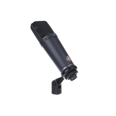 Купити студійний мікрофон Neumann TLM 193 — Plastinka.in.ua