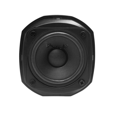 Настінна акустика Arylic RK30 Black із захистом IP66