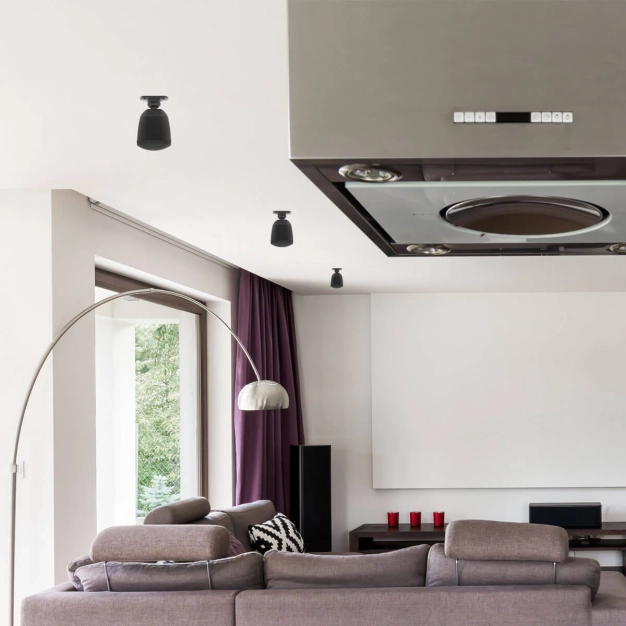 Настінна акустика Arylic RK30 Black із захистом IP66 Настінна акустика Arylic RK30 Black із захистом IP66