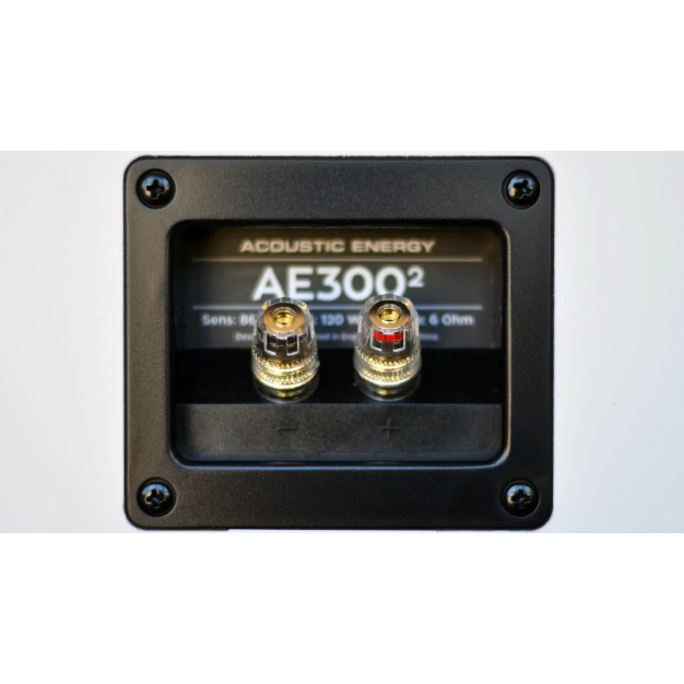 AE300² Matt Black – полична акустика з тканинним твітером