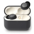 Final Audio ZE500 for ASMR Dark Grey - бездротові навушники