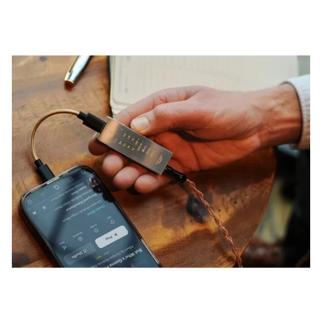 ЦАП із підсилювачем iFi Go bar Kensei сріблястий