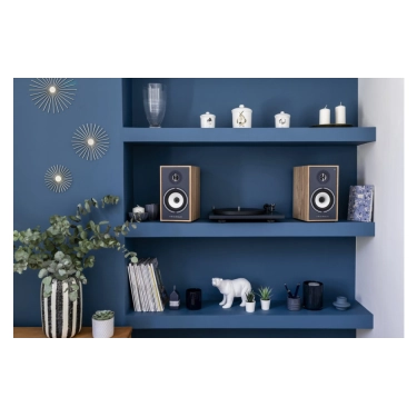 Triangle Borea BR02 BT Light Oak Blue – активна акустична система