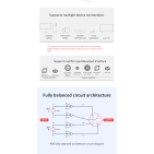 Підсилювач для навушників FX-AUDIO R06 Black — балансова архітектура