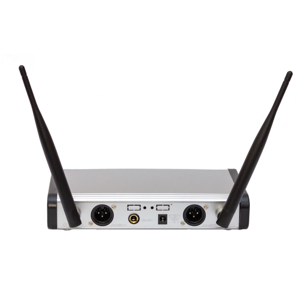 Радіосистема DV audio PGX-224 Dual здвоєна