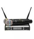 Радіосистема DV audio PGX-224 Dual