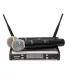 Радіосистема DV audio PGX-224 Dual здвоєна