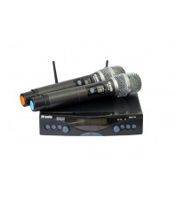 Радіосистема DV audio MGX-24 Dual здвоєна