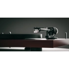 Pro-Ject Pick-IT MM EVO Packed чорний картридж для вінілу