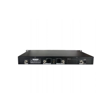 Радіосистема DV audio WMS-24H PRO MKII з 2 мікрофонами UHF