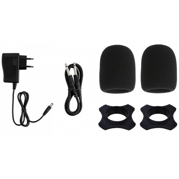 Радіосистема DV audio MGX-224 з 2 мікрофонами UHF