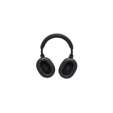 Навушники Final Audio UX5000 Black з ANC та LDAC