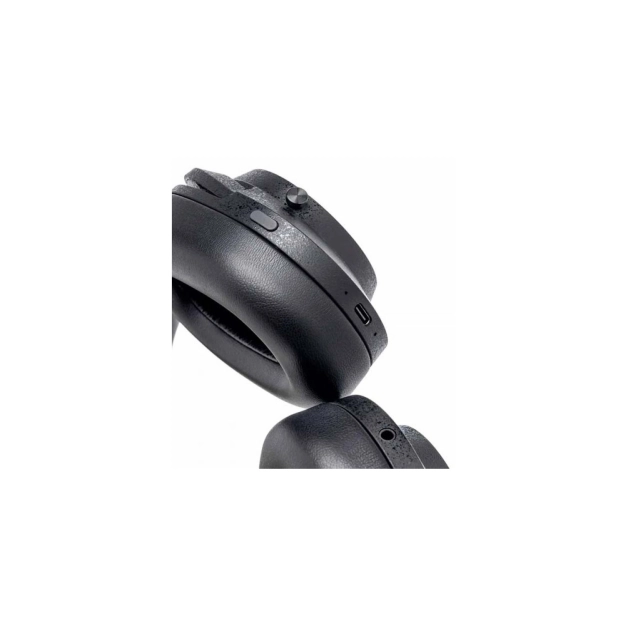 Навушники Final Audio UX5000 Black з ANC та LDAC