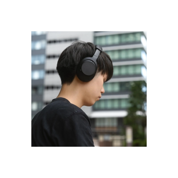 Навушники Final Audio UX5000 Black з ANC та LDAC