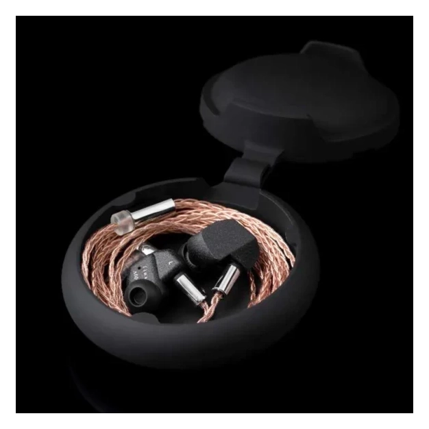 Навушники Final Audio A6000 Black із драйвером F-Core Du