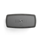 Портативна акустика Audio Pro A15 W Dark Grey з Wi-Fi