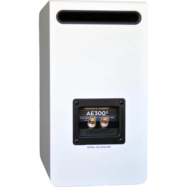 Компактна полична акустика Acoustic Energy AE300² Matt White