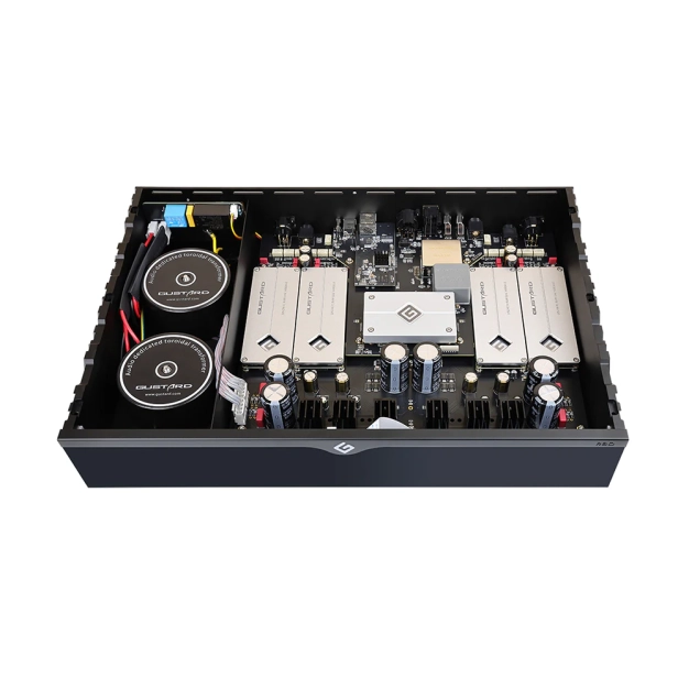 Мережевий R-2R ЦАП Gustard R30 Black з DSD1024