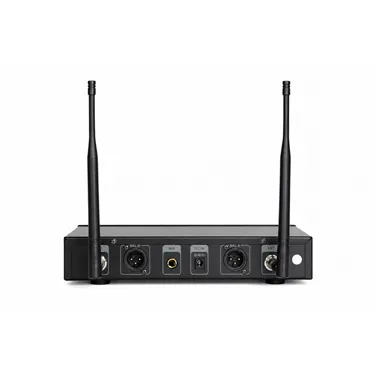Радіосистема DV audio WSX-2H, 2 ручні мікрофони