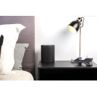 Портативна акустика Yamaha MusicCast 20 (WX-021) Портативна акустика Yamaha MusicCast 20 (WX-021)