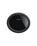 Портативная акустика Yamaha MusicCast 20 (WX-021)