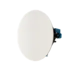 Paradigm CI Home H65-R v2 — із захисною решіткою