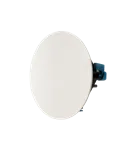 Paradigm CI Home H65-R v2 — із захисною решіткою